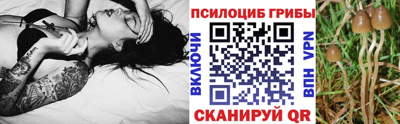 магазин продажи   Болотное  Псилоцибиновые грибы мухоморы 